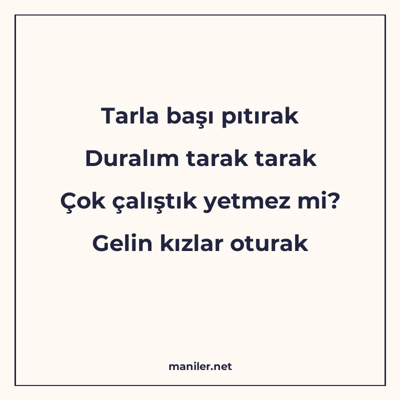 Tarla başı pıtırak Duralım tarak tarak Çok çalıştık yetmez m manisi görseli