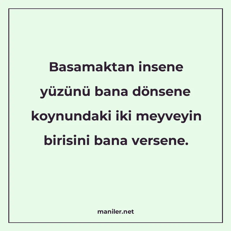 Basamaktan insene yüzünü bana dönsene koynundaki iki meyveyi manisi görseli