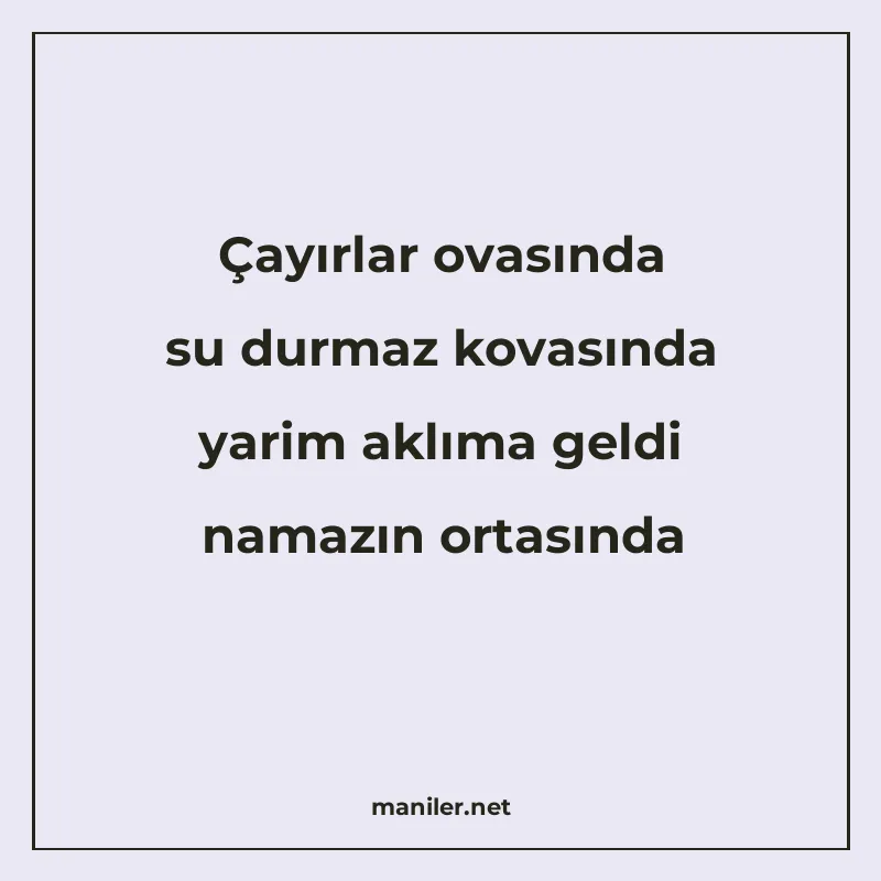 Çayırlar ovasında su durmaz kovasında yarim aklıma geldi nam manisi görseli