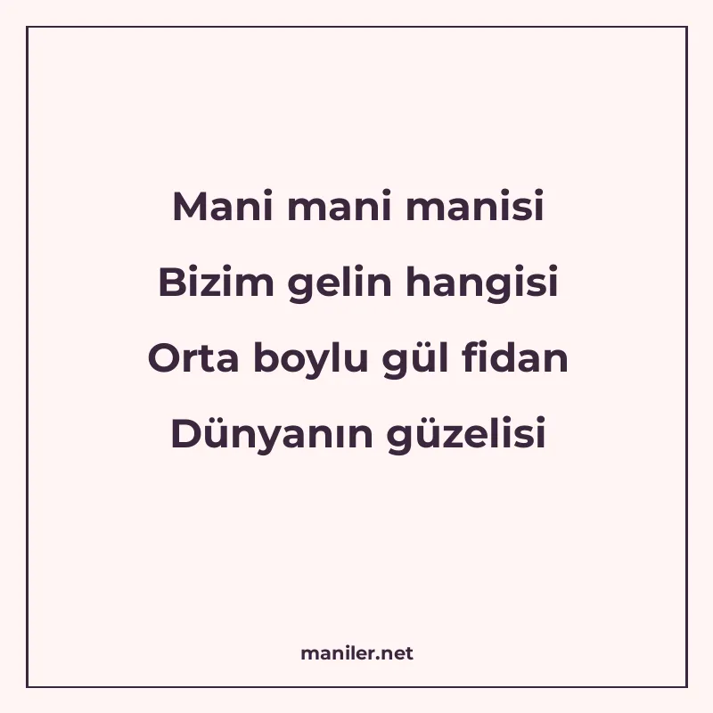 Mani mani manisi Bizim gelin hangisi Orta boylu gül fidan Dü manisi görseli