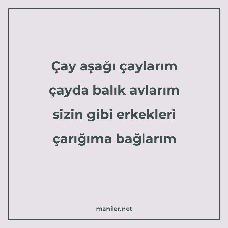 Çay aşağı çaylarım çayda balık avlarım sizin gibi erkekleri manisi görseli