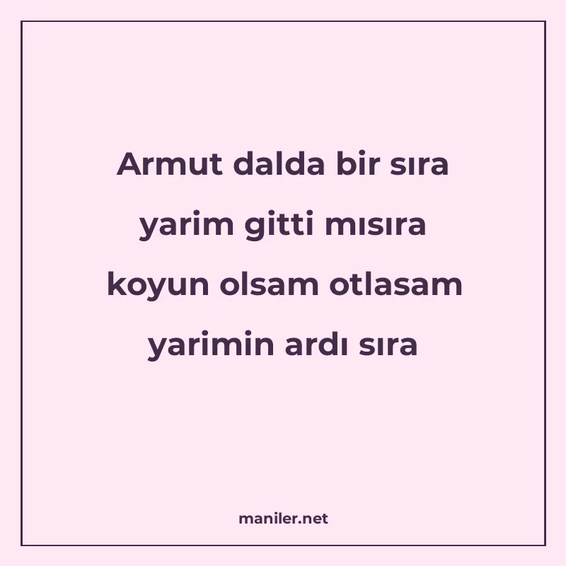 Armut dalda bir sıra yarim gitti mısıra koyun olsam otlasam manisi görseli