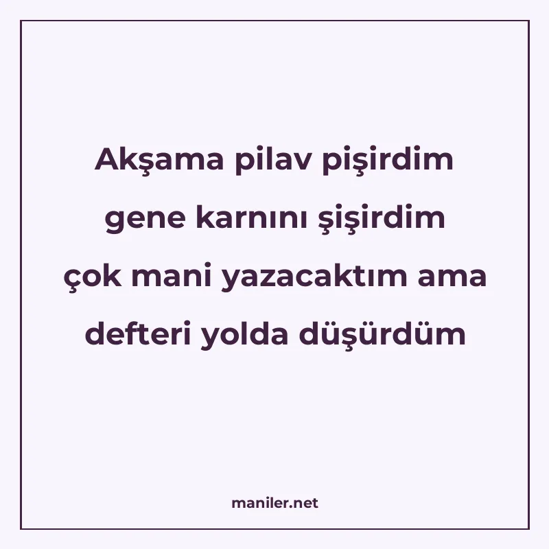 Akşama pilav pişirdim gene karnını şişirdim çok mani yazacak manisi görseli