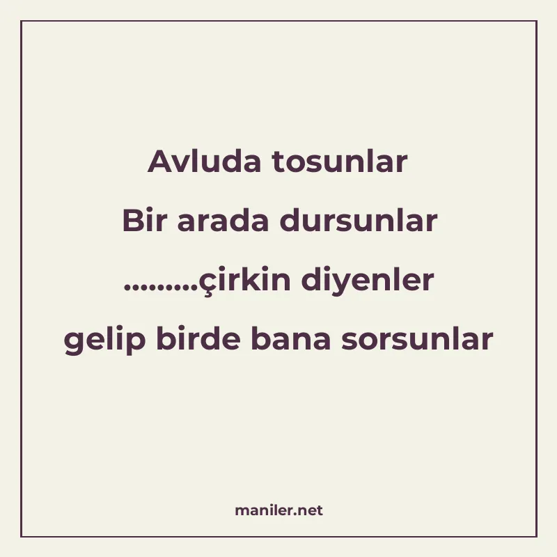 Avluda tosunlar Bir arada dursunlar .........çirkin diyenler manisi görseli