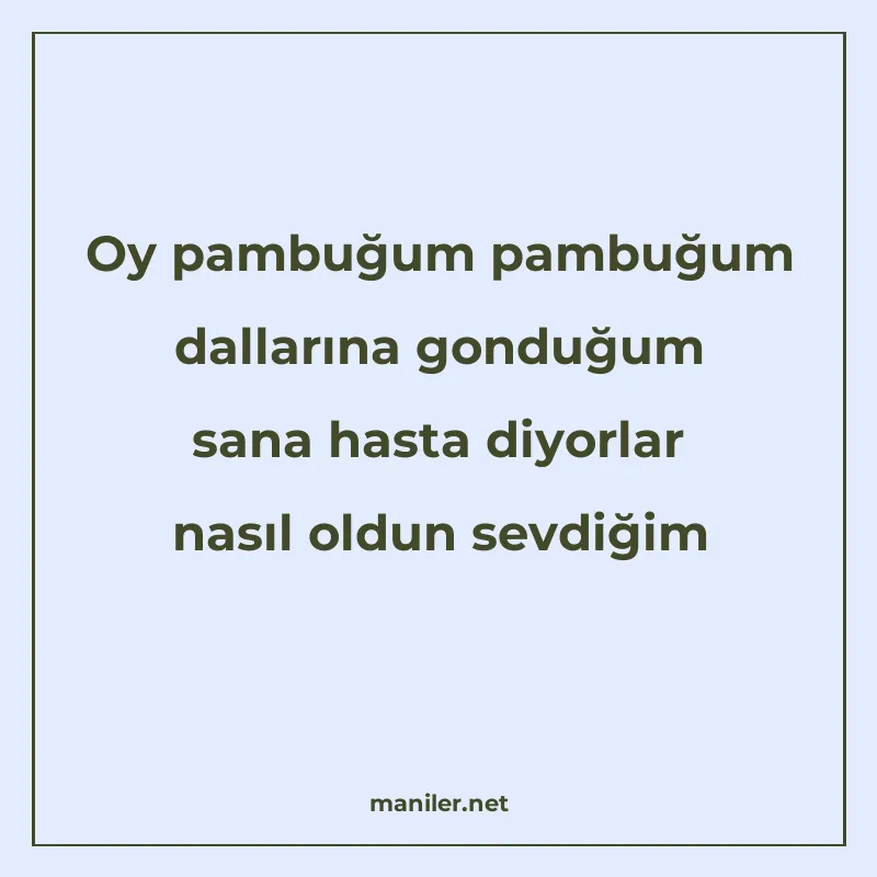 Oy pambuğum pambuğum dallarına gonduğum sana hasta diyorlar manisi görseli