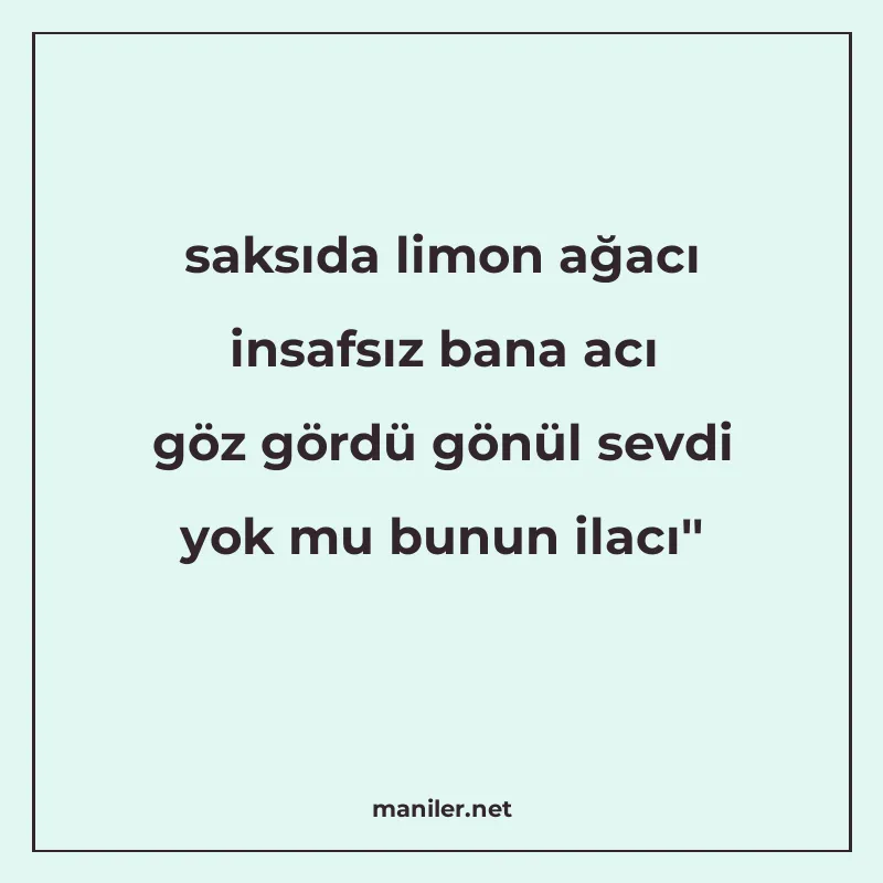 saksıda limon ağacı insafsız bana acı göz gördü gönül sevdi manisi görseli