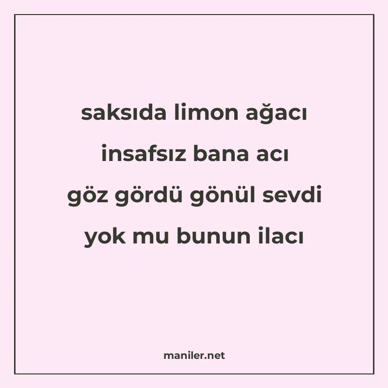 saksıda limon ağacı insafsız bana acı göz gördü gönül sevdi manisi görseli