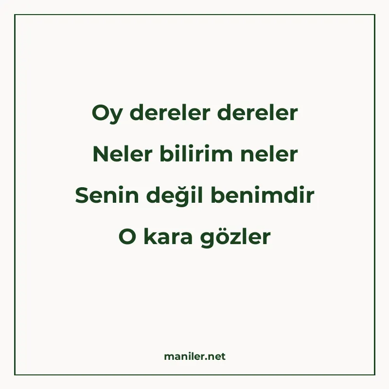 Oy dereler dereler Neler bilirim neler Senin değil benimdir manisi görseli