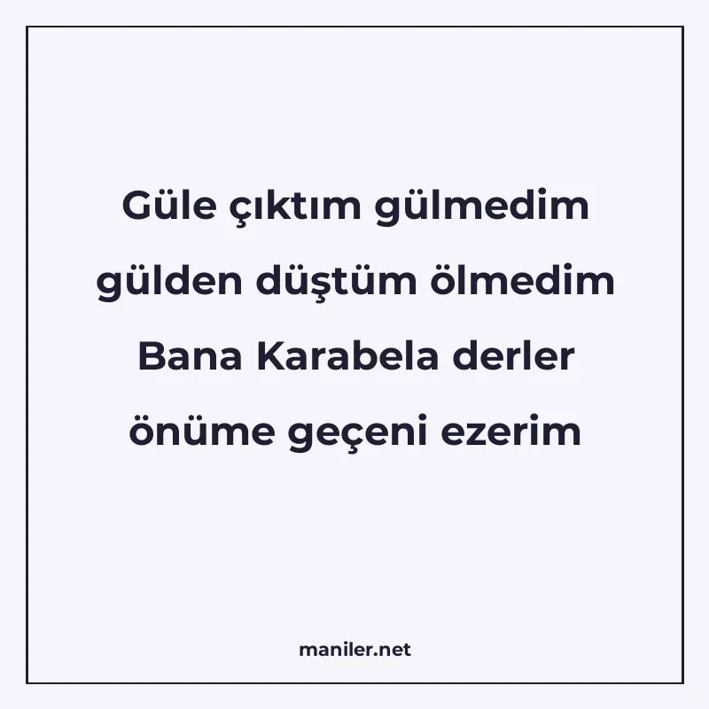 Güle çıktım gülmedim gülden düştüm ölmedim Bana Karabela der manisi görseli