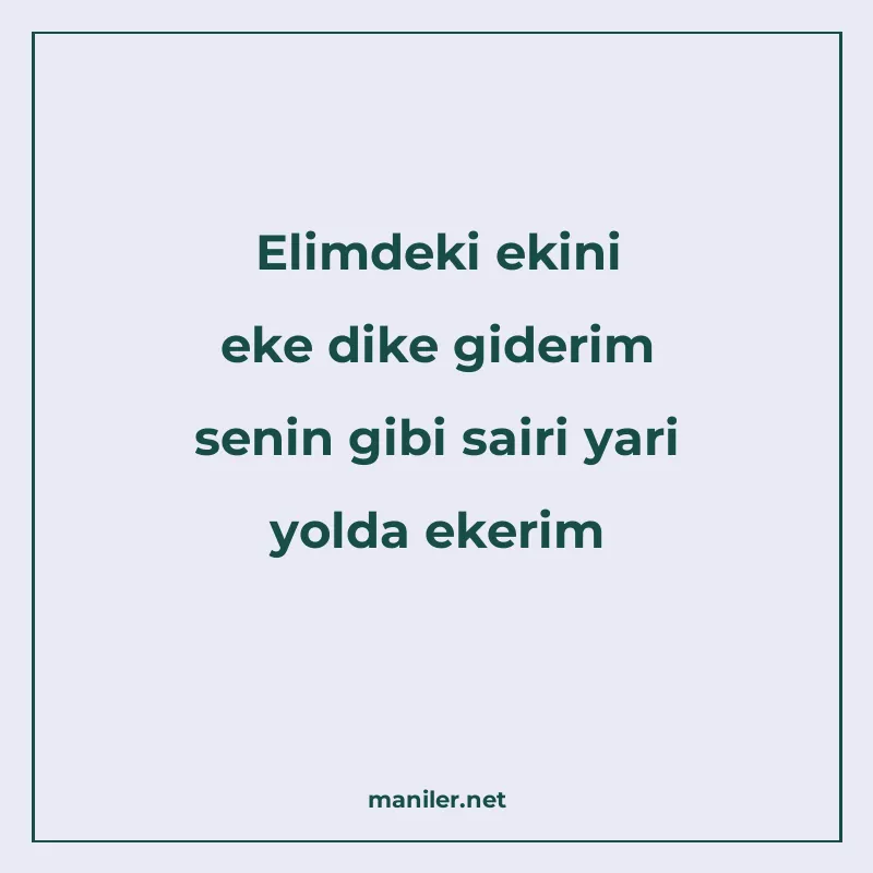 Elimdeki ekini eke dike giderim senin gibi sairi yari yolda manisi görseli