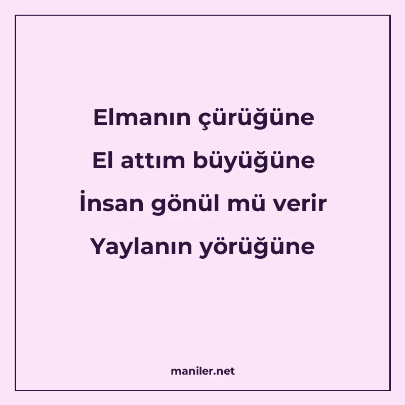 Elmanın çürüğüne El attım büyüğüne İnsan gönül mü verir Yayl manisi görseli