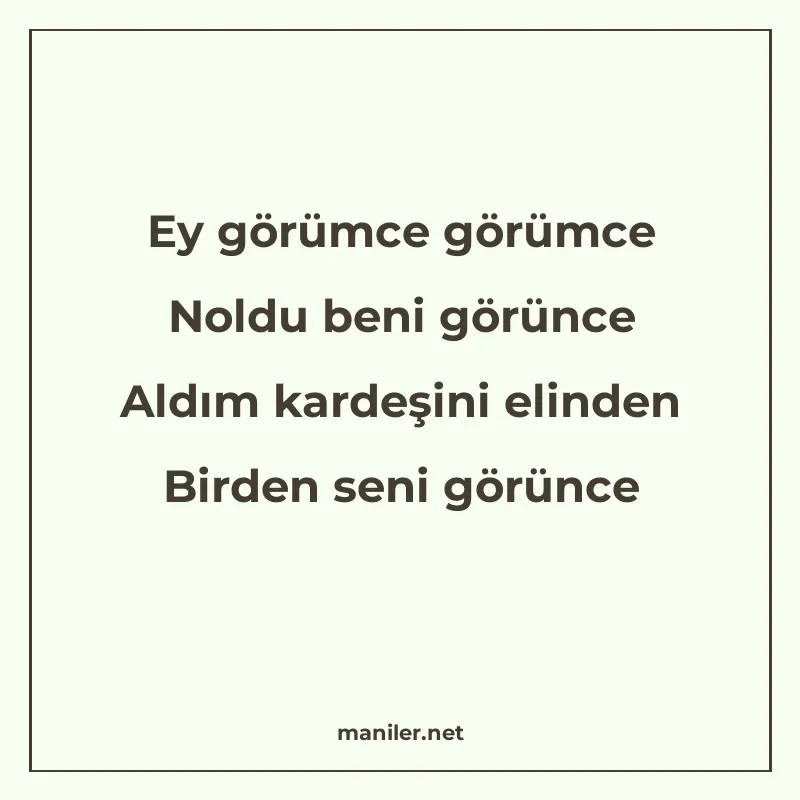 Ey görümce görümce Noldu beni görünce Aldım kardeşini elinde manisi görseli