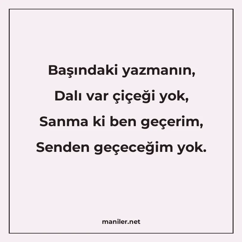Başındaki yazmanın, Dalı var çiçeği yok, Sanma ki ben geçeri manisi görseli