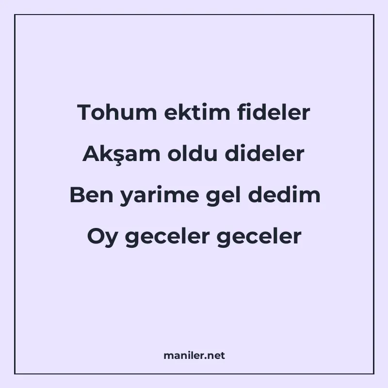 Tohum ektim fideler Akşam oldu dideler Ben yarime gel dedim manisi görseli