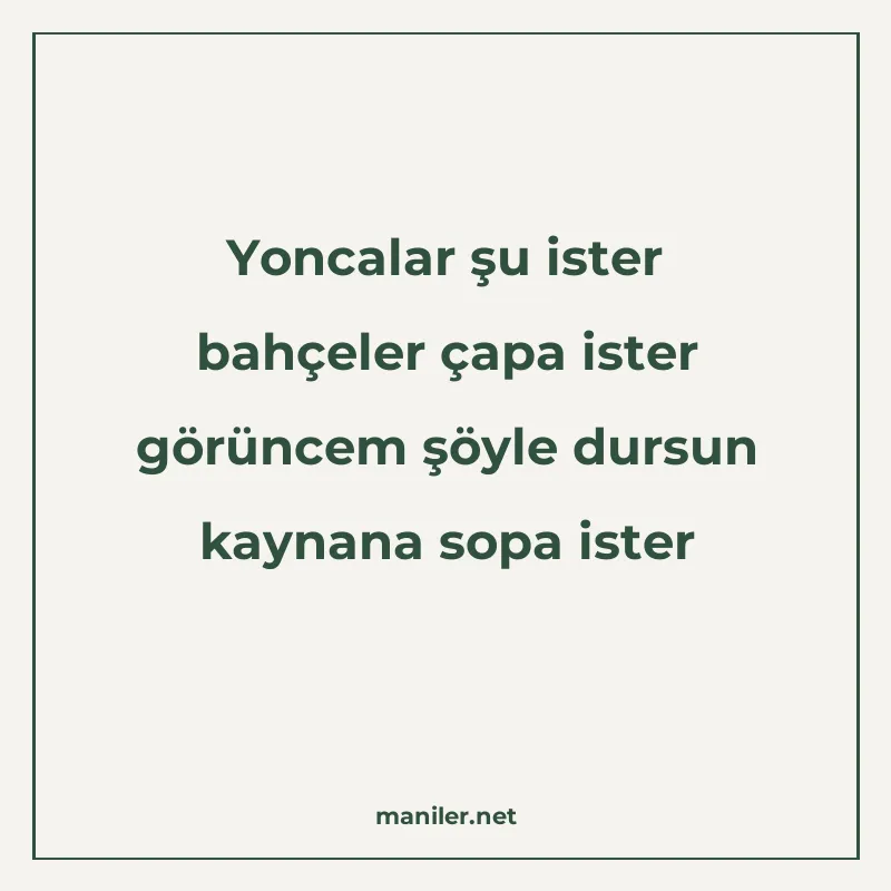 Yoncalar şu ister bahçeler çapa ister görüncem şöyle dursun manisi görseli