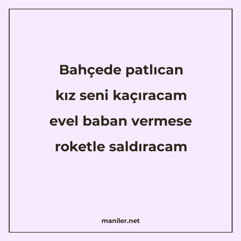 Bahçede patlıcan kız seni kaçıracam evel baban vermese roket manisi görseli