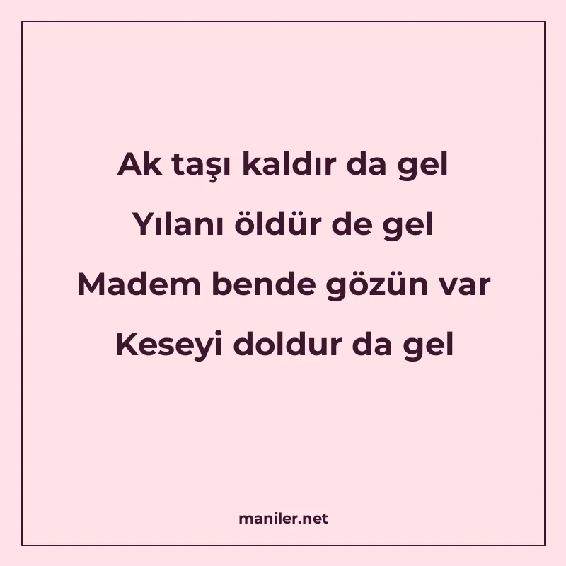 Ak taşı kaldır da gel Yılanı öldür de gel Madem bende gözün manisi görseli