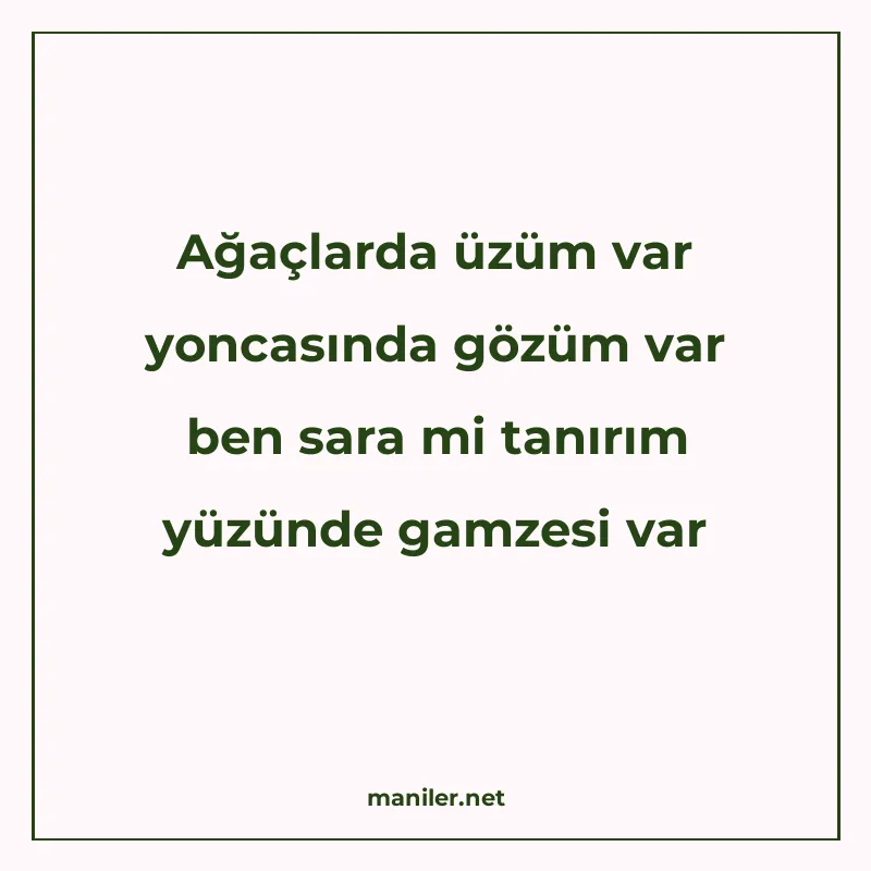 Ağaçlarda üzüm var yoncasında gözüm var ben sara mi tanırım manisi görseli
