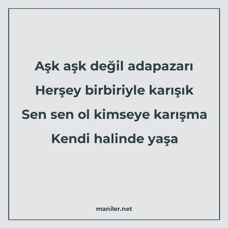 Aşk aşk değil adapazarı Herşey birbiriyle karışık Sen sen ol manisi görseli