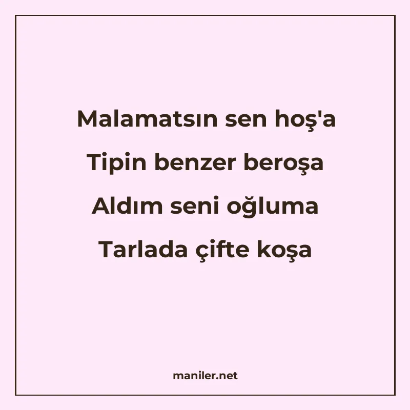 Malamatsın sen hoş'a Tipin benzer beroşa Aldım seni oğluma T manisi görseli