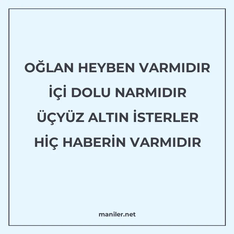 OĞLAN HEYBEN VARMIDIR İÇİ DOLU NARMIDIR ÜÇYÜZ ALTIN İSTERLER manisi görseli