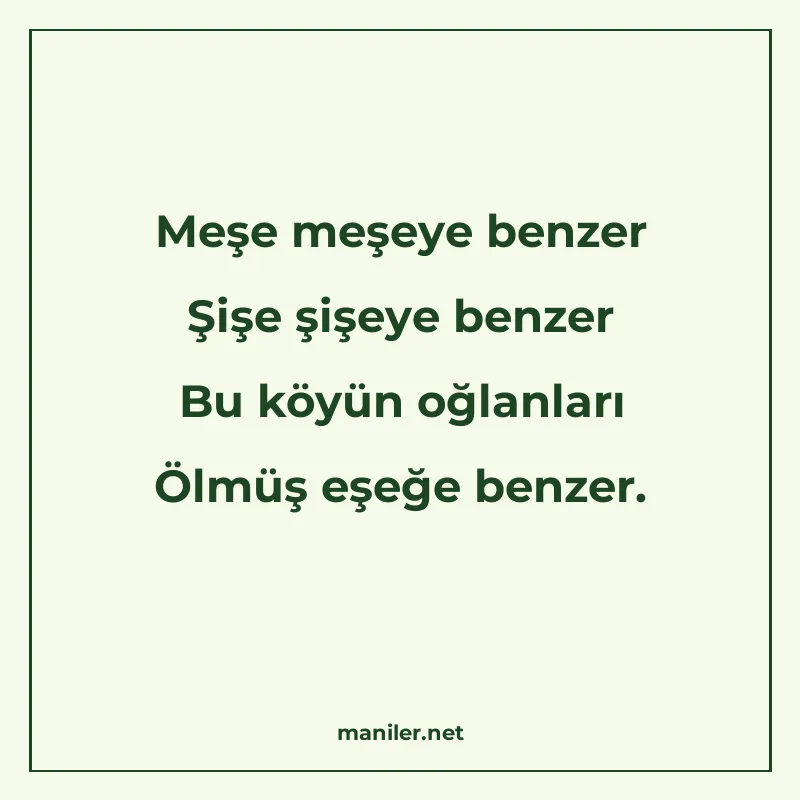 Meşe meşeye benzer Şişe şişeye benzer Bu köyün oğlanları Ölm manisi görseli