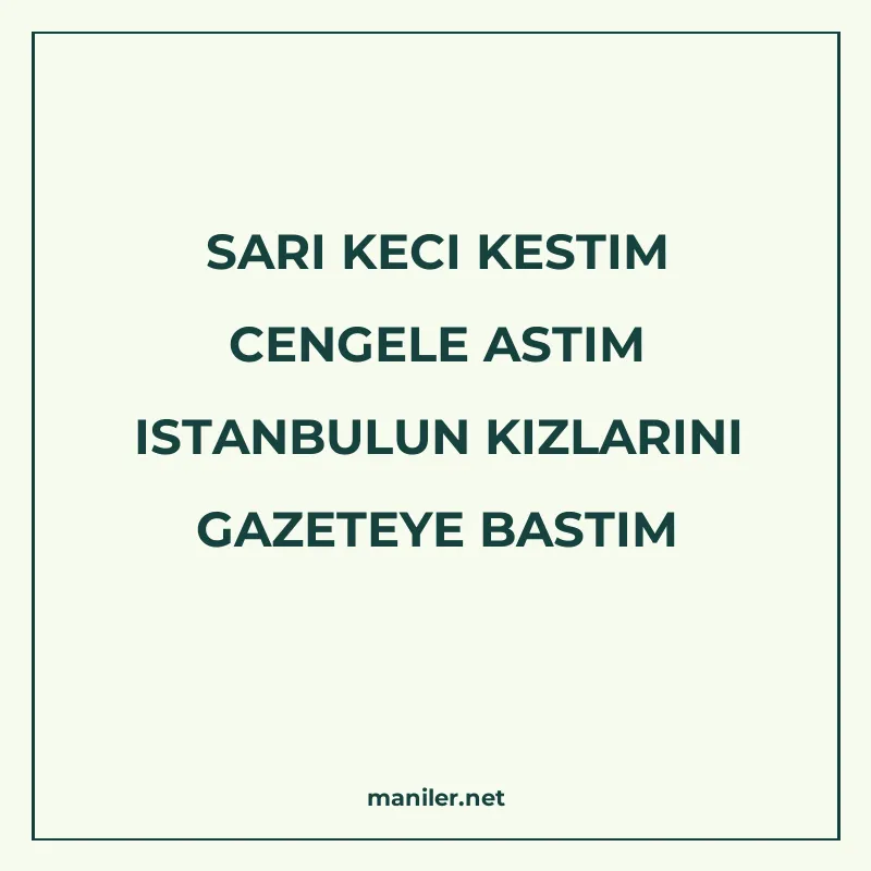 SARI KECI KESTIM CENGELE ASTIM ISTANBULUN KIZLARINI GAZETEYE manisi görseli
