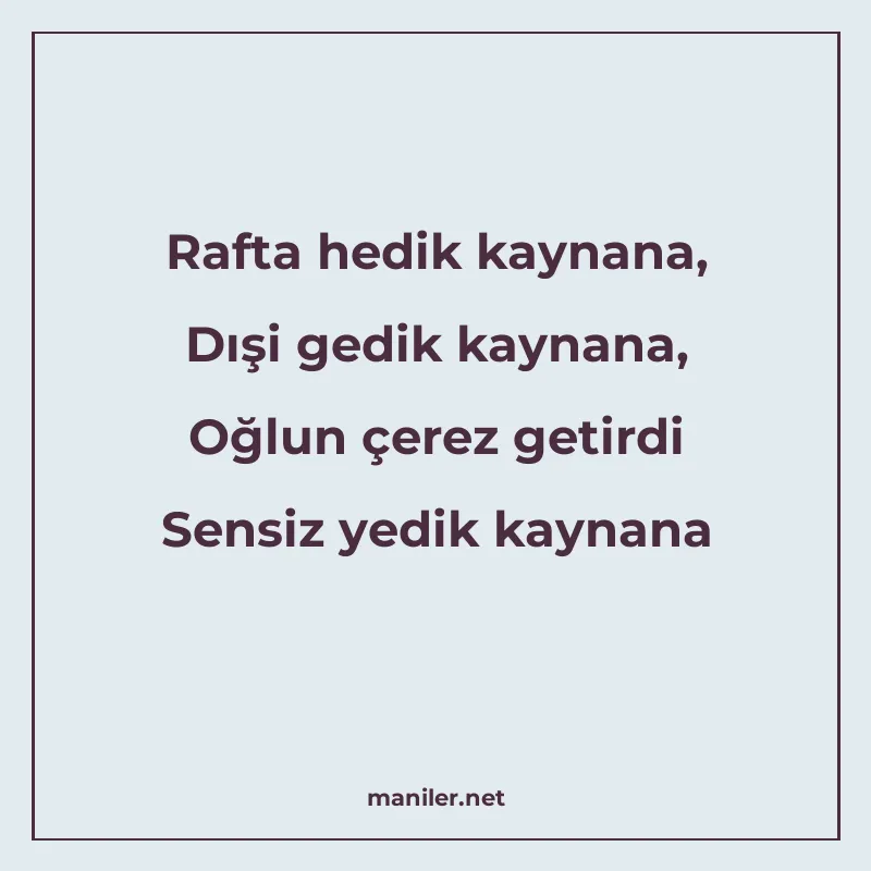 Rafta hedik kaynana, Dışi gedik kaynana, Oğlun çerez getirdi manisi görseli