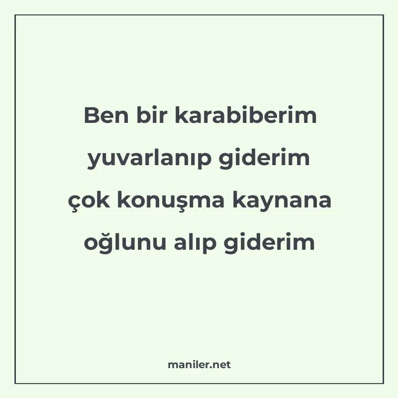 Ben bir karabiberim yuvarlanıp giderim çok konuşma kaynana o manisi görseli