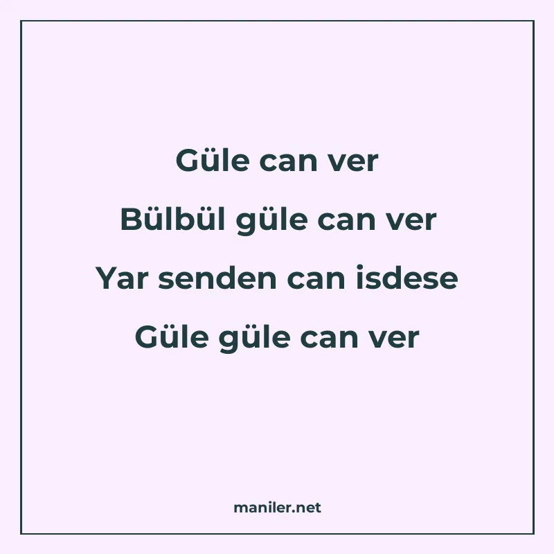 Güle can ver Bülbül güle can ver Yar senden can isdese Güle manisi görseli