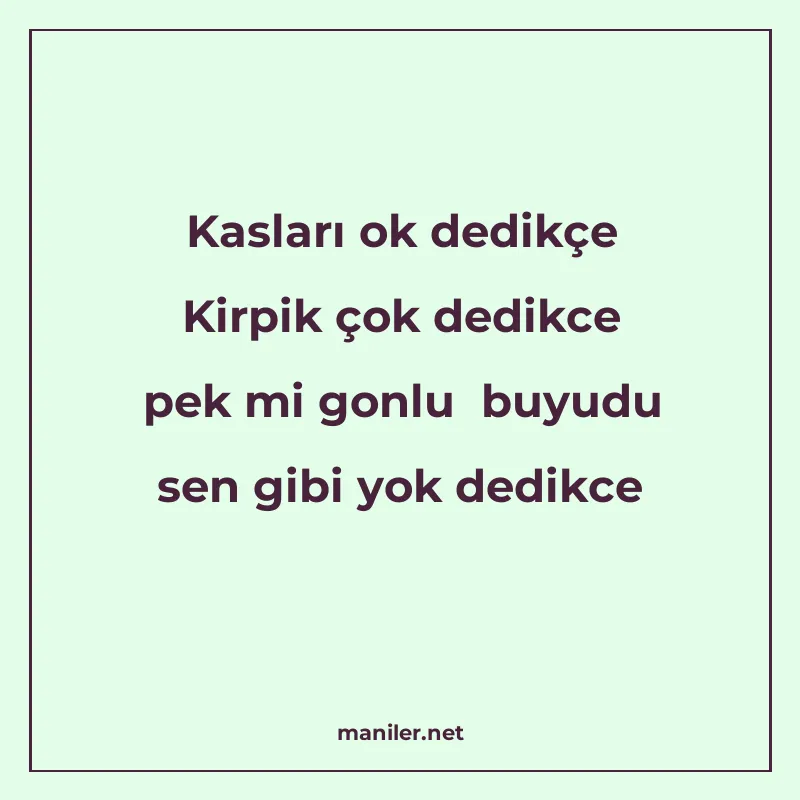 Kasları ok dedikçe Kirpik çok dedikce pek mi gonlu buyudu se manisi görseli