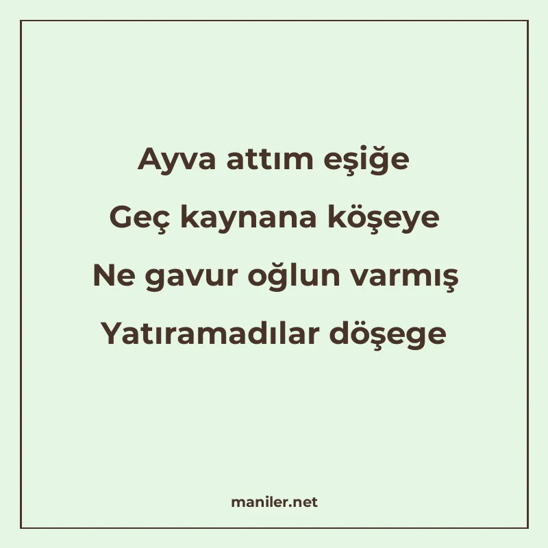 Ayva attım eşiğe Geç kaynana köşeye Ne gavur oğlun varmış Ya manisi görseli