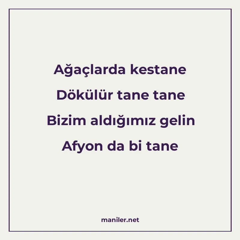 Ağaçlarda kestane Dökülür tane tane Bizim aldığımız gelin Af manisi görseli