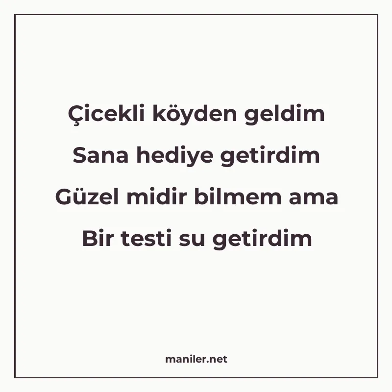 Çicekli köyden geldim Sana hediye getirdim Güzel midir bilme manisi görseli