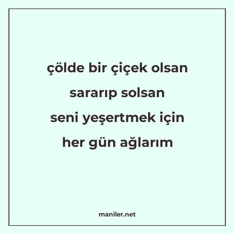 çölde bir çiçek olsan sararıp solsan seni yeşertmek için her manisi görseli