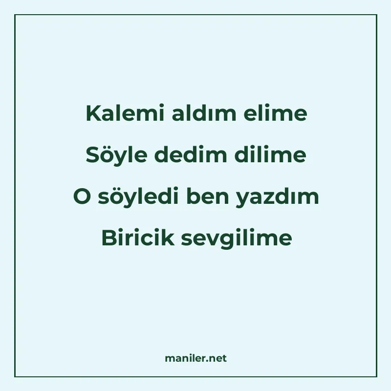 Kalemi aldım elime Söyle dedim dilime O söyledi ben yazdım B manisi görseli