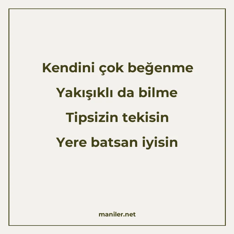 Kendini çok beğenme Yakışıklı da bilme Tipsizin tekisin Yere manisi görseli