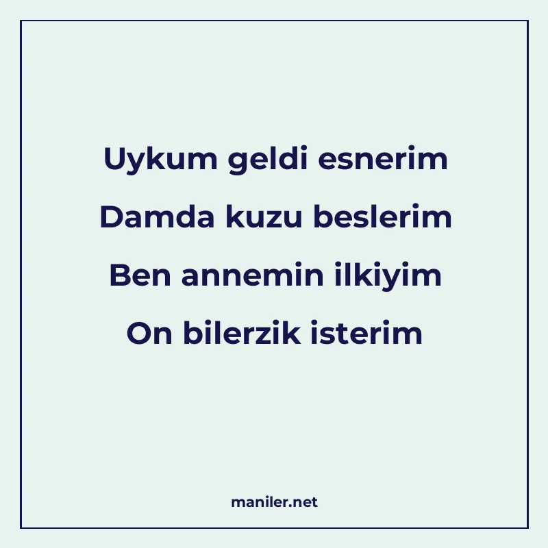 Uykum geldi esnerim Damda kuzu beslerim Ben annemin ilkiyim manisi görseli