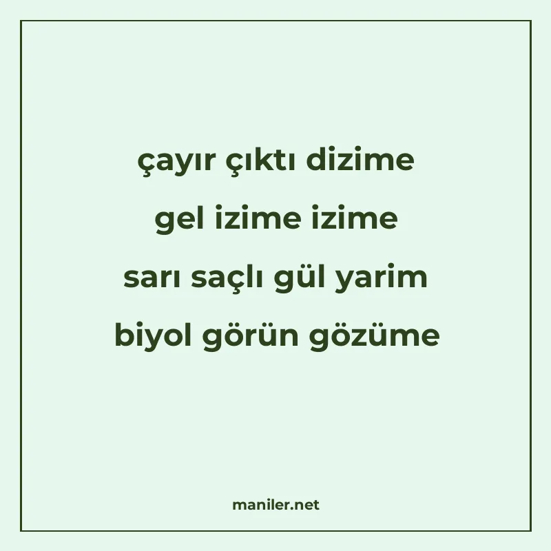 çayır çıktı dizime gel izime izime sarı saçlı gül yarim biyo