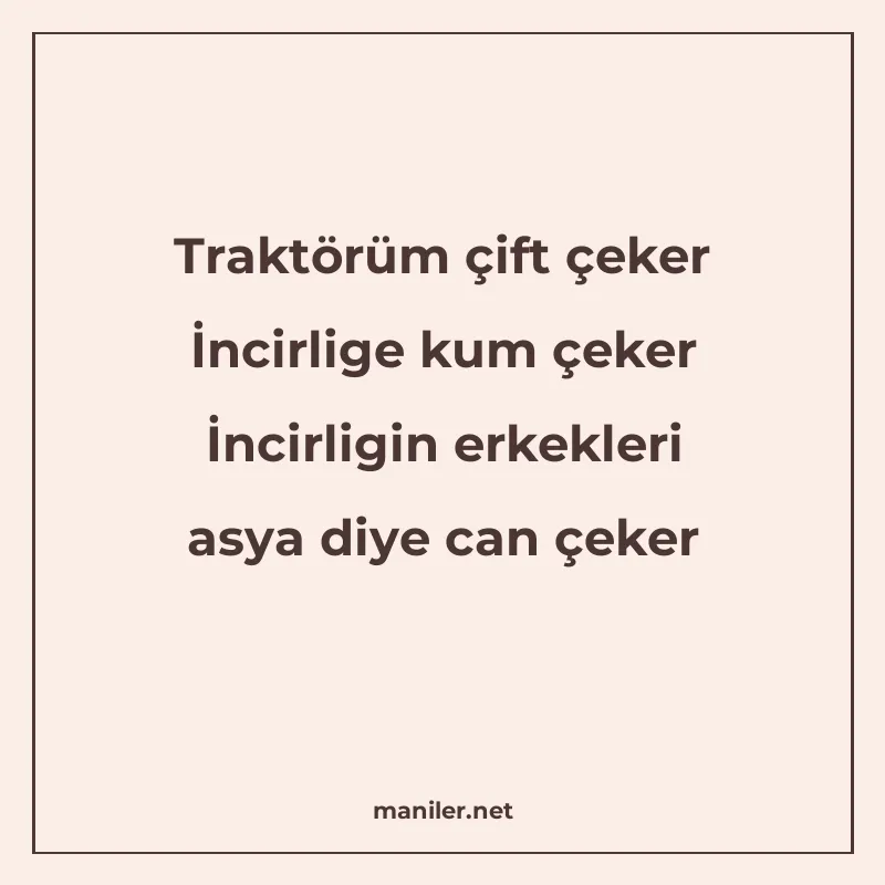 Traktörüm çift çeker İncirlige kum çeker İncirligin erkekler manisi görseli