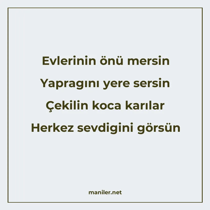 Evlerinin önü mersin Yapragını yere sersin Çekilin koca karı manisi görseli