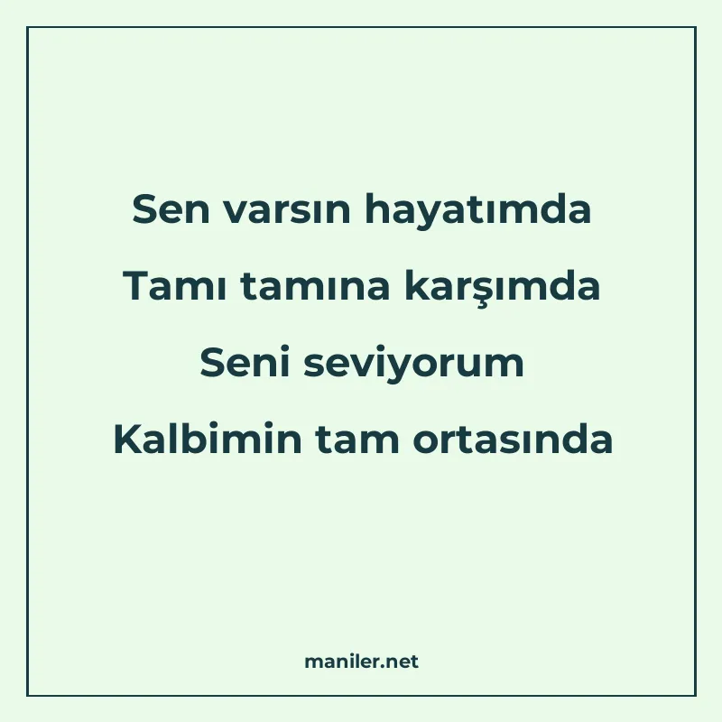 Sen varsın hayatımda Tamı tamına karşımda Seni seviyorum Kal manisi görseli