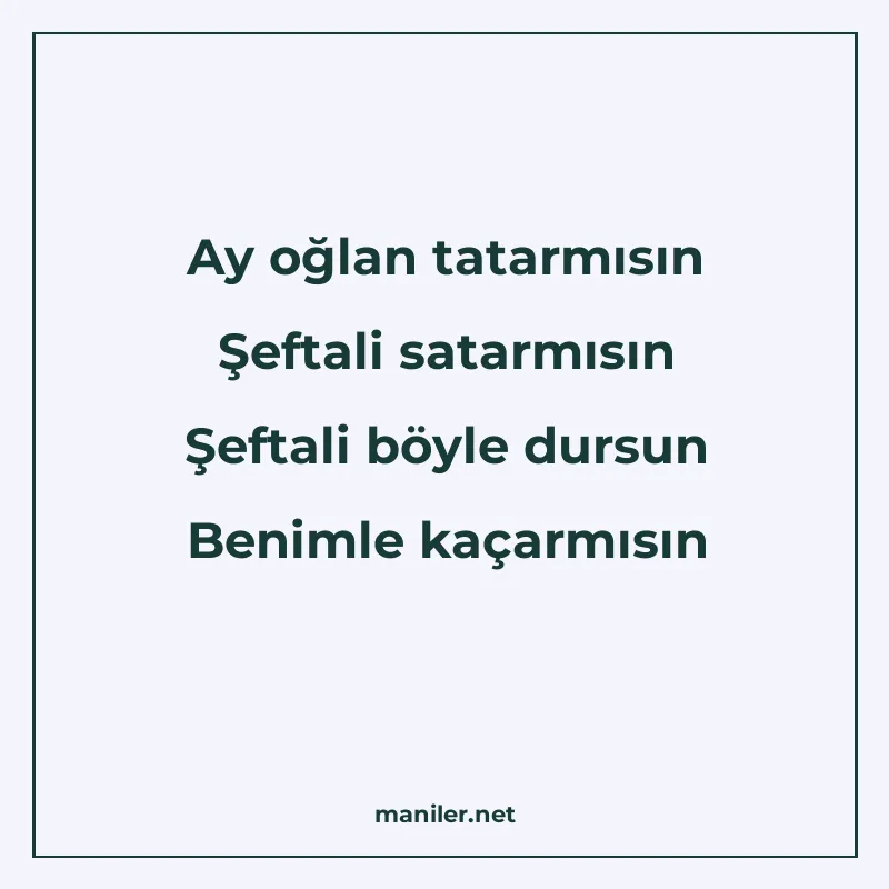 Ay oğlan tatarmısın Şeftali satarmısın Şeftali böyle dursun manisi görseli