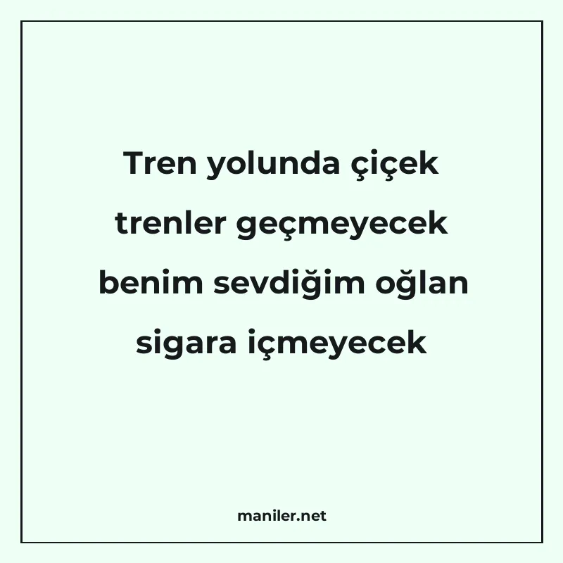 Tren yolunda çiçek trenler geçmeyecek benim sevdiğim oğlan s manisi görseli