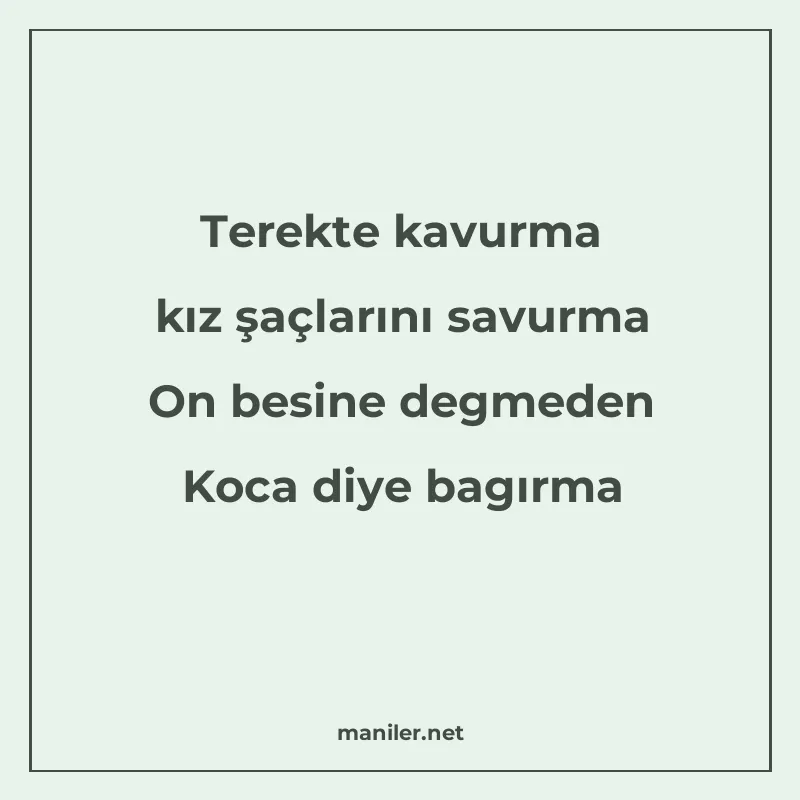 Terekte kavurma kız şaçlarını savurma On besine degmeden Koc manisi görseli