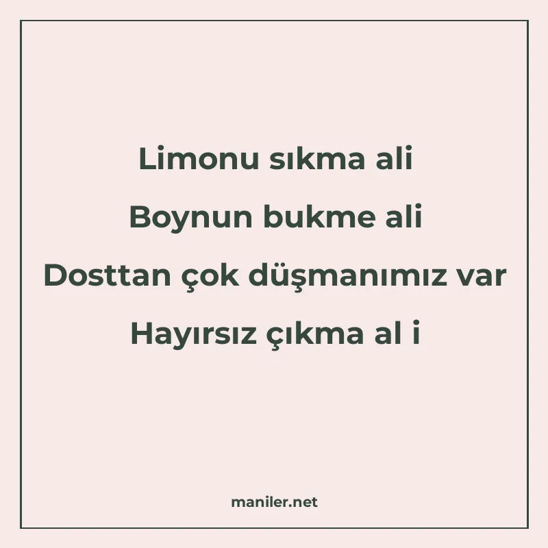 Limonu sıkma ali Boynun bukme ali Dosttan çok düşmanımız var manisi görseli