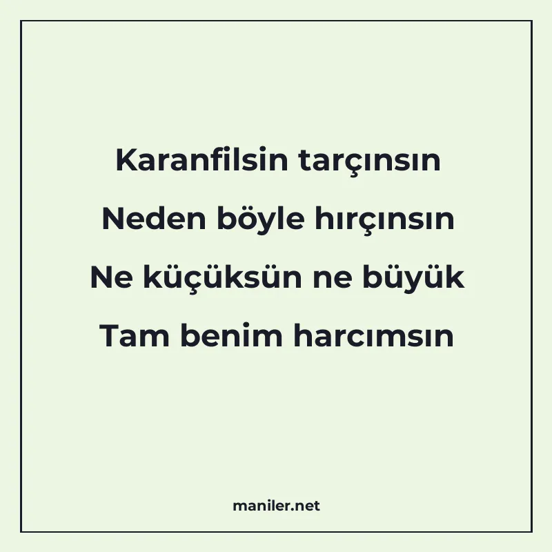 Karanfilsin tarçınsın Neden böyle hırçınsın Ne küçüksün ne b manisi görseli