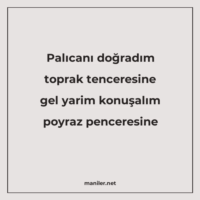 Palıcanı doğradım toprak tenceresine gel yarim konuşalım poy manisi görseli