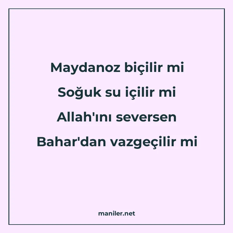 Maydanoz biçilir mi Soğuk su içilir mi Allah'ını seversen Ba manisi görseli