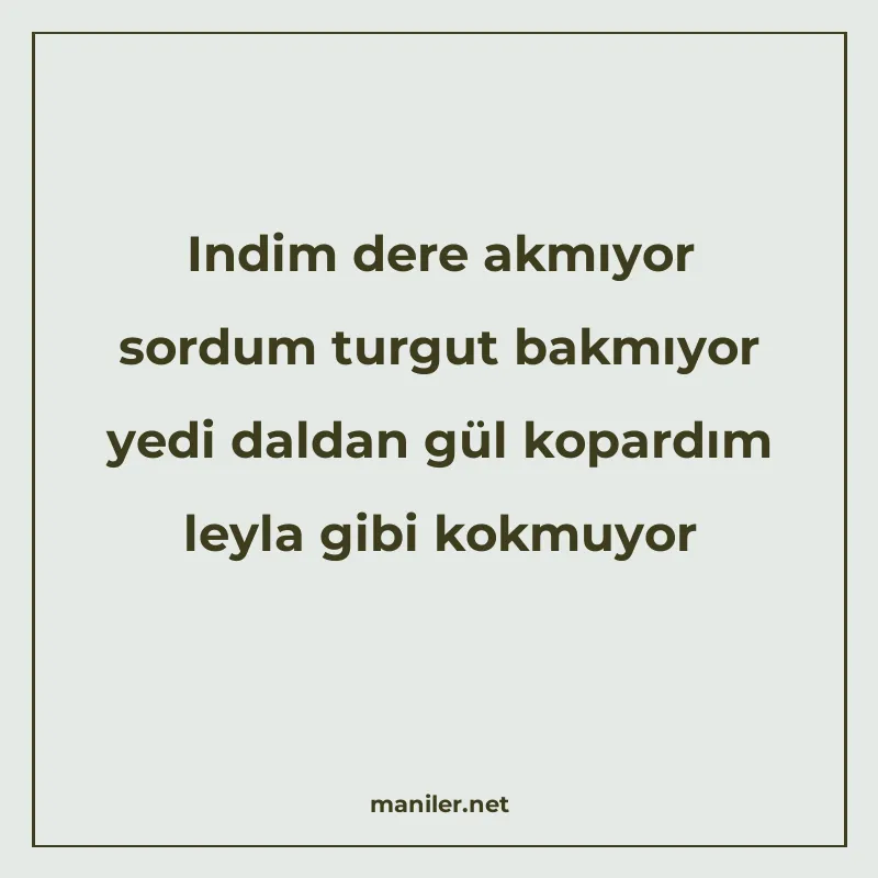 Indim dere akmıyor sordum turgut bakmıyor yedi daldan gül ko manisi görseli